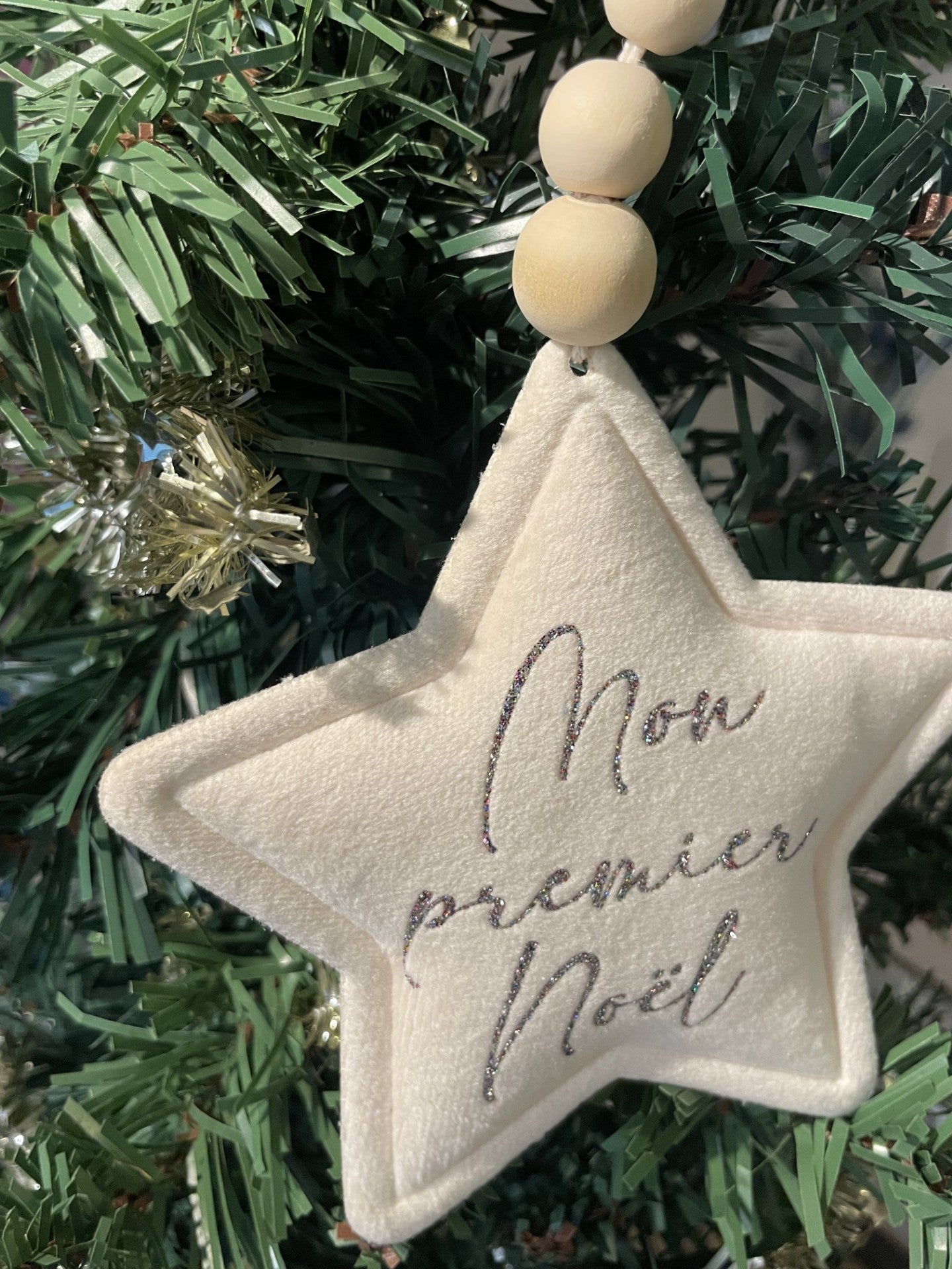 L'étoile de Noël