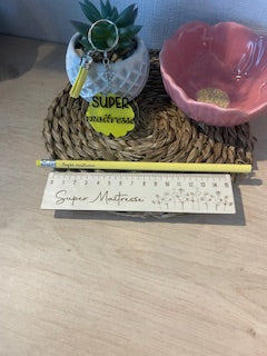 Box "super maîtresse"